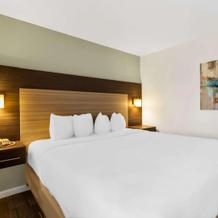 Sonesta Essential NW Houston, Houston — photo 4