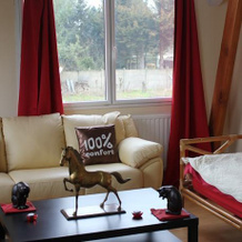 La Maison des Chats, Loison-sous-Lens — photo 3