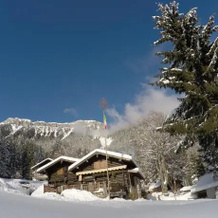 Chalet da Pina, Lamon — photo 3