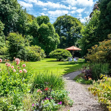 Luxury Country Mansion in West Cork, 班登 — 照片 5