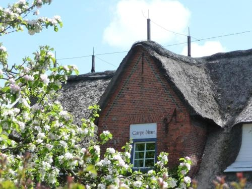 Sternhagens Landhaus, Эвенум — фото 1