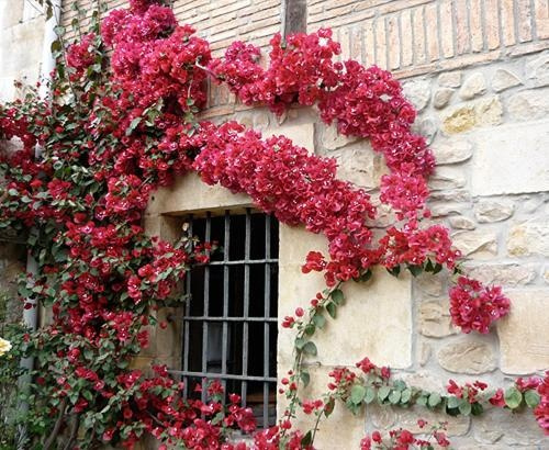 Posada Vallejo, Cabezon de la Sal — photo 1