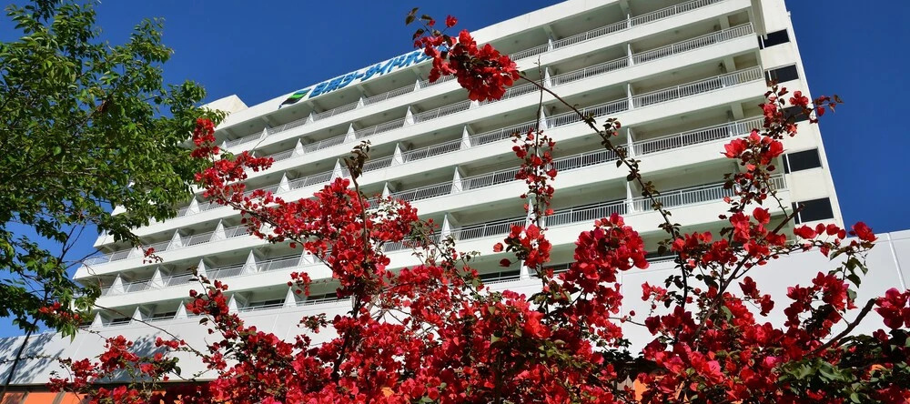 Shirahama Seaside Hotel, 白滨 — 照片 1