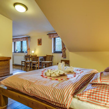 Wellness Hotel Ondrášův Dvůr, 比拉 — 照片 3