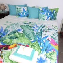 Nautilus Bed and Breakfast, 米申海滩 — 照片 3