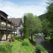 Hotel Gasthof Sonne Kirnbach, 沃尔法赫 — 照片 2