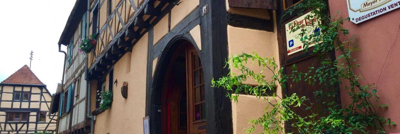 A Vintage Apartment In Riquewihr With Terrace, Рикевир — фото 1