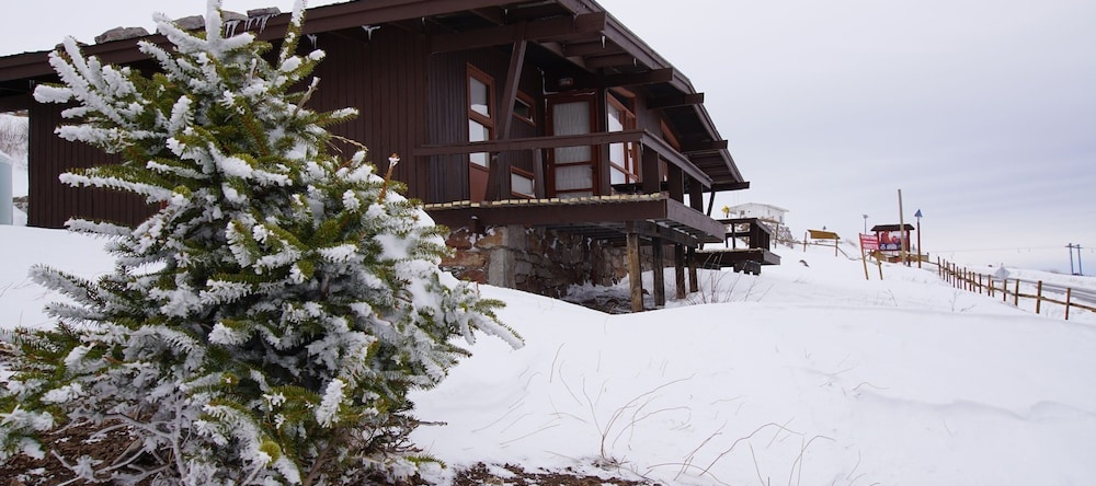 El Colorado Bungalows, Валье-Невадо — фото 1