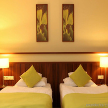 Hotel Ginkgo, Hodmezovasarhely — photo 2