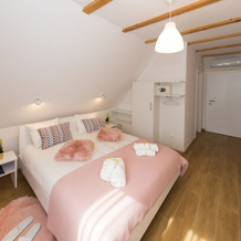 Plitvice Retreat Apartments, 科雷尼察 — 照片 3