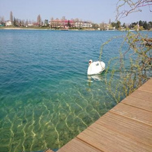 TopSenec-Lakeside Home, 塞内茨 — 照片 4