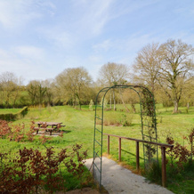 This Cottage is a Real Treasure in the Ardennes, Momignies — photo 4