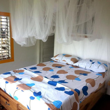 Germaican Hostel, Порт Антонио — фото 2