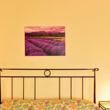 Agriturismo Borgo del Taglio, Bazzano — photo 4
