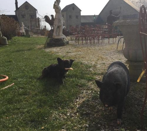 L'escale A La Ferme, Экув — фото 1