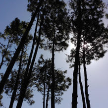 La Pedrera, Pinamar — photo 4
