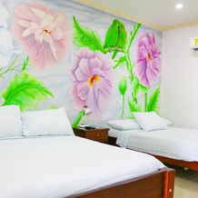 Hotel Jardines Evans By Geh Suites, 圣克鲁斯-德蒙波斯 — 照片 5