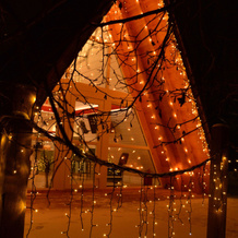 A-Frame Dubhouse Private house, Moscow — photo 3