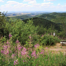 Ferienwohnungen Stricker Harz, Walkenried — photo 2