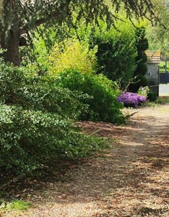 Gite de Poulas, Couffy — photo 1