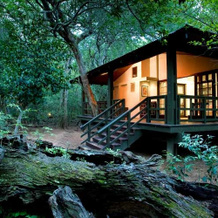 Andbeyond Phinda Forest Lodge, Заповедник Пинда — фото 5
