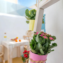 Oinotopos, Pyrgos Kalistis — photo 2