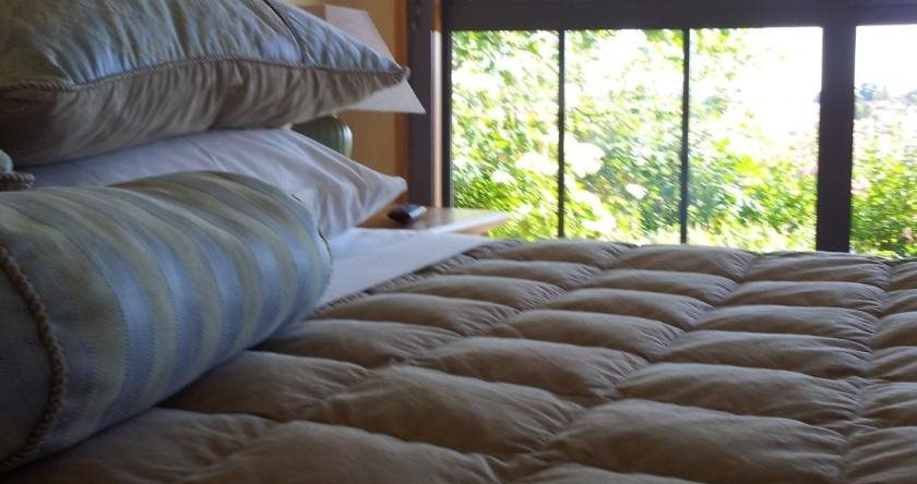 Hawkdun Rise Vineyard & Accommodation, 亚历山德拉 — 照片 1