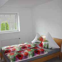 Ferienwohnung An der Mühle, Nordholz — photo 5