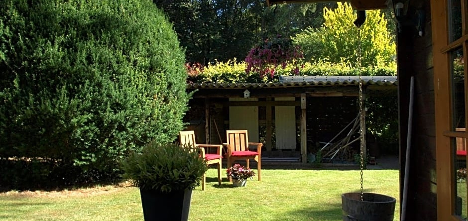 Bed En Breakfast Putten, 皮滕 — 照片 1