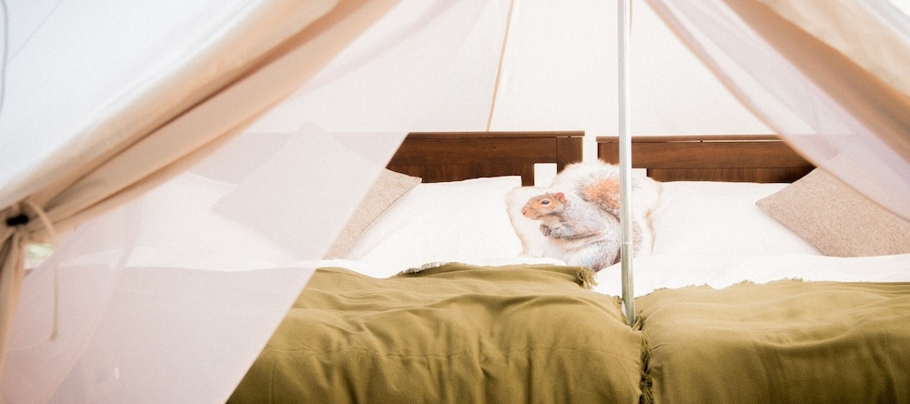 Yoichi Vineyard Glamping, Йоити — фото 1