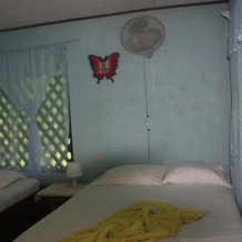 Chinitas Eco Lodge, Тортугеро — фото 2