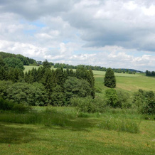 Haus Am Wald, Лиссендорф — фото 2