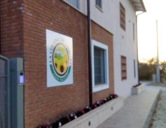 La Collina del Girasole, Montecastrilli — photo 1