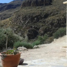 Cortijo El Molino Apartamento"El balconcito", 乌埃布罗 — 照片 4