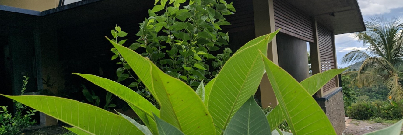 Namaha Homestay, Nilambur — photo 1