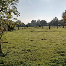 Gîte Moitron-sur-Sarthe, 4 pièces, 6 personnes - FR-1-410-334, Moitron-sur-Sarthe — photo 4