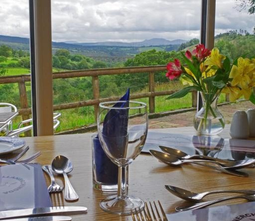 Llanerchindda Farm Guest House, 兰韦尔-阿尔-伊-布林 — 照片 1