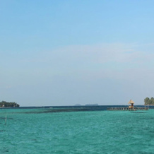 Arys Lagoon Bungalow & Hotel, 哲帕拉 — 照片 3