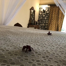 Plumeria Luxury Villas, 乌达瓦拉维 — 照片 3