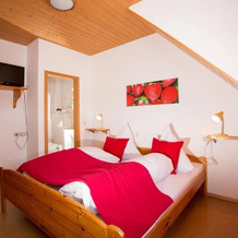 Hotel Gasthof Hirschen, 埃尔察赫 — 照片 5