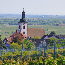 Zum Kronprinzen, Weyher — photo 3