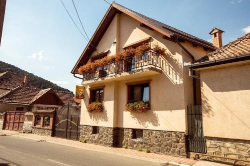 Pensiunea Beltina, 勒希纳里 — 照片 1