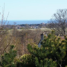 The Doocot, 利文 — 照片 4