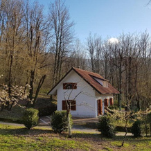 CasaLalla, natura e relax, 库萨诺-穆特里 — 照片 2