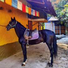 Rancho Con Caballos El Reencuentro, Темаскальтепек-де-Гонсалес — фото 5
