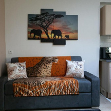 La Maison Safari à Melun - Confort & Lumineuse, 默伦 — 照片 2