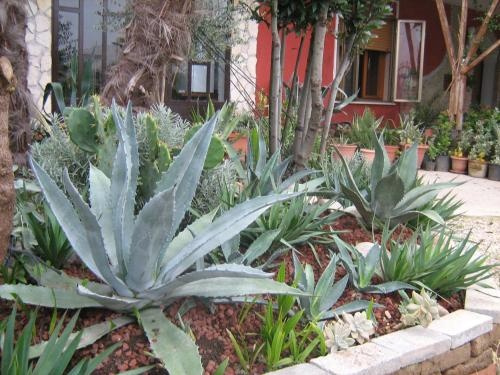 B&B Le Palme Doro, Гризиньяно-ди-Дзокко — фото 1