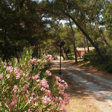 Chambres Dhôtes Roque Blanc En Provence, Ла-Рок-д'Антерон — фото 3