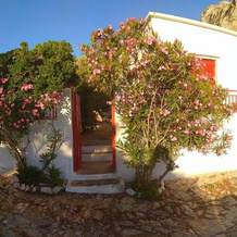 Almond Trees House, Аморгос — фото 3