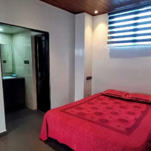 Pearl Spot, Aluva — photo 2